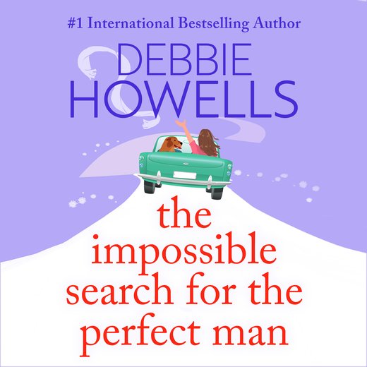 The Impossible Search for the Perfect Man