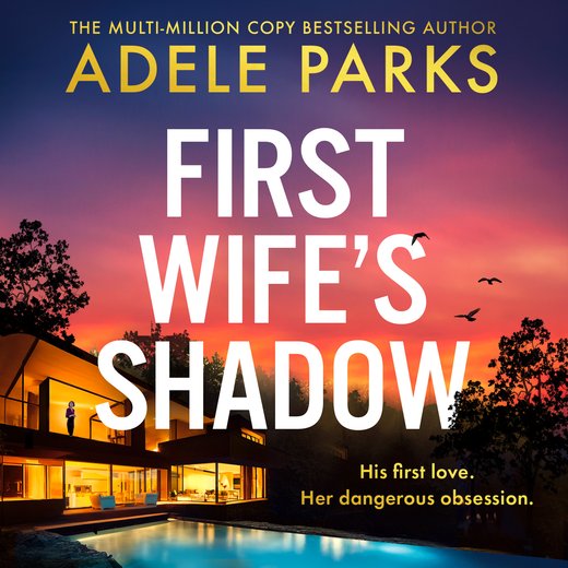 Adele Parks Book 24