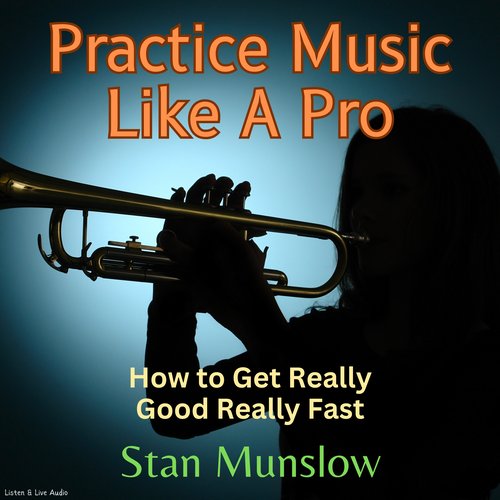 Practice Music Like A Pro