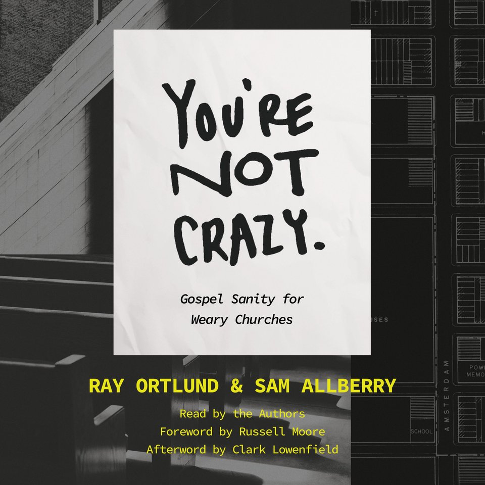 You're Not Crazy by Collected Authors - Audiobook