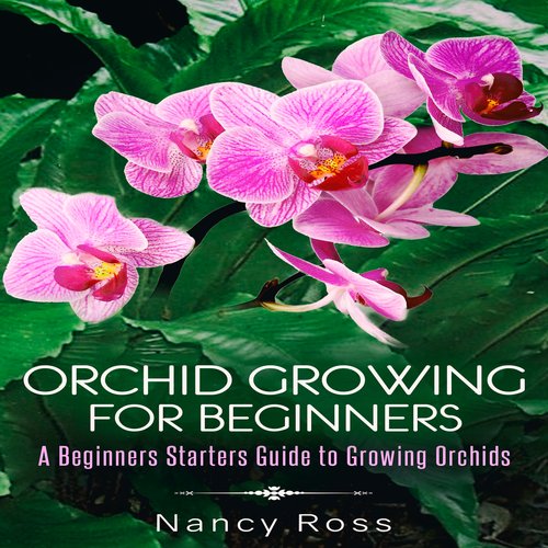 Orchid Growing for Beginners