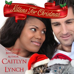 Kittens for Christmas thumbnail