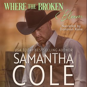 The Road to Solace thumbnail