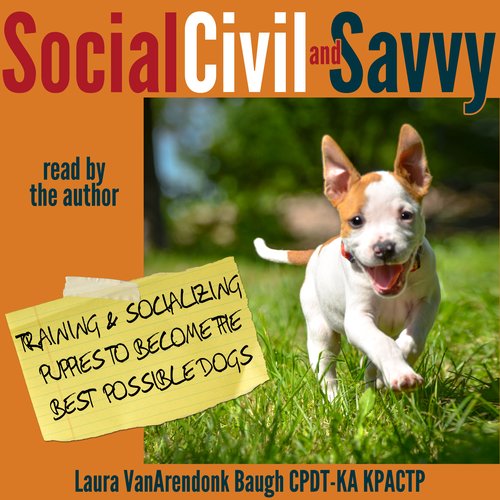 Social Civil and Savvy