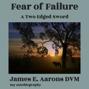 Fear of Failure thumbnail