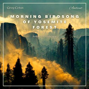 Morning Birdsong of Yosemite Forest thumbnail