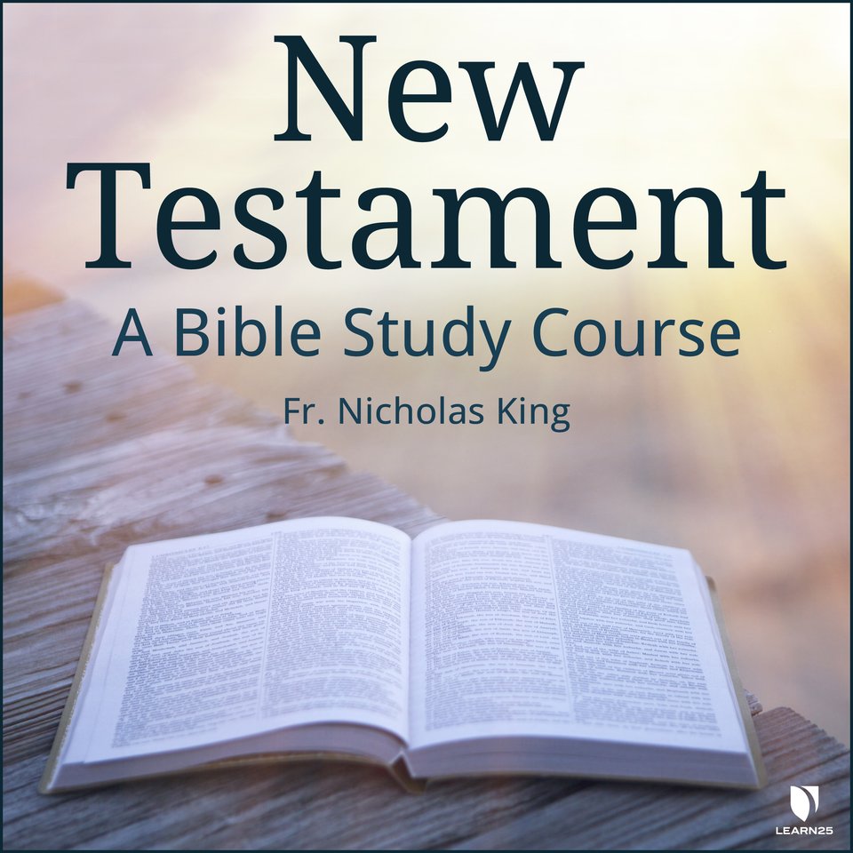 new-testament-a-bible-study-course-by-nicholas-king-audiobook