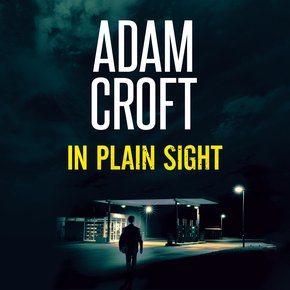 In Plain Sight thumbnail