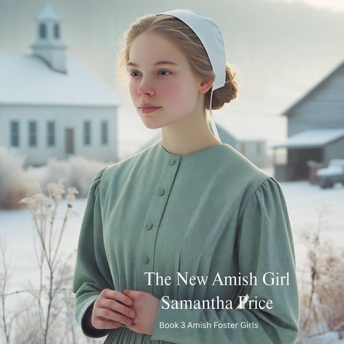 The New Amish Girl