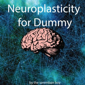 Neuroplasticity for Dummy thumbnail
