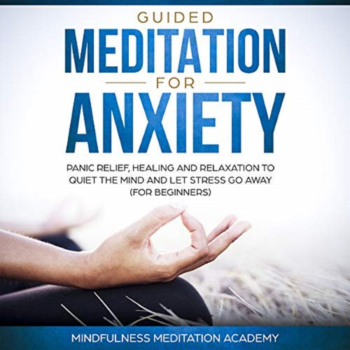 Guided Meditation for Anxiety Panic Relief Healing and Relaxation to Quiet the Mind and let Stress go Away