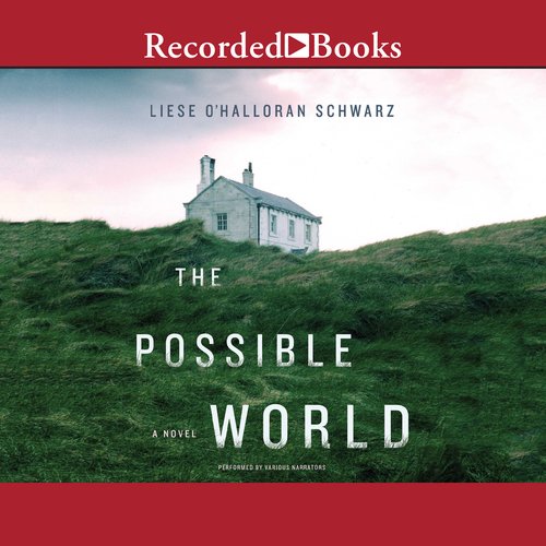 The Possible World