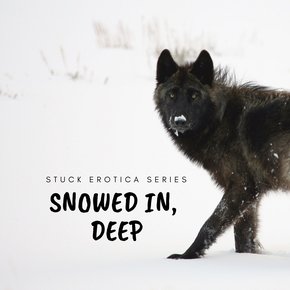 Snowed In Deep thumbnail