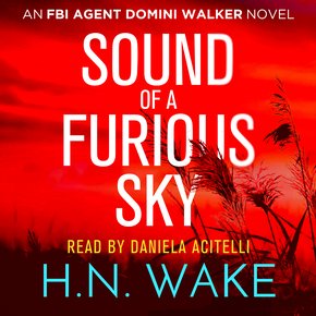 Sound of a Furious Sky: FBI Agent Domini Walker Book 1 thumbnail