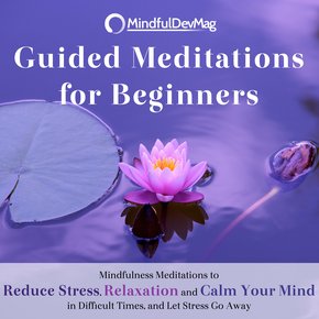 Guided Meditations for Beginners thumbnail