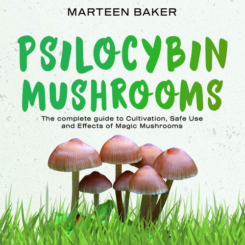 Psilocybin Mushrooms