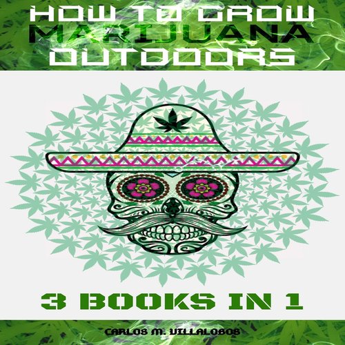 How to Grow Marijuana Outdoors