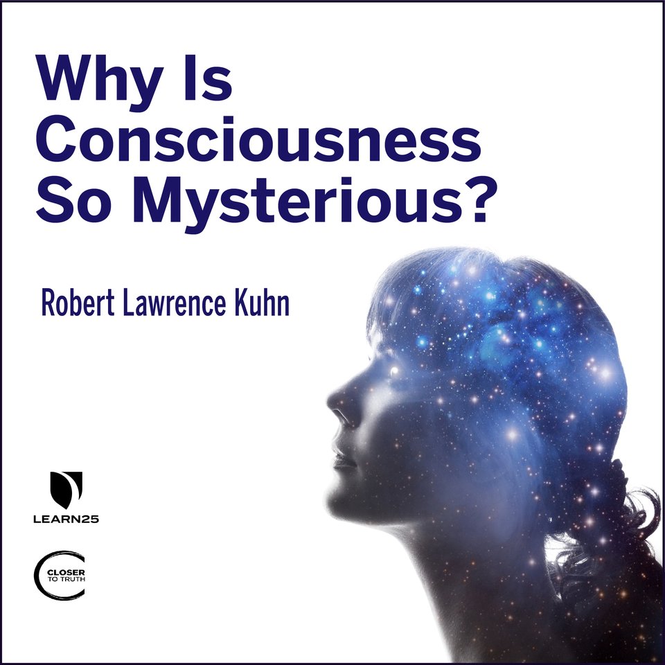 Have you ever wondered about how our brains make sense of our experiences?<br><br>Why is Consciousness so Mysterious?
