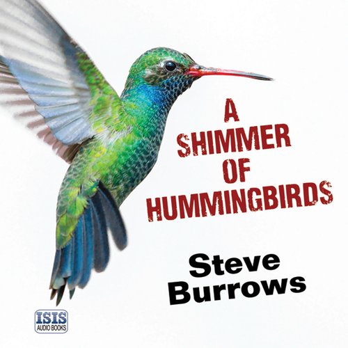 A Shimmer of Hummingbirds