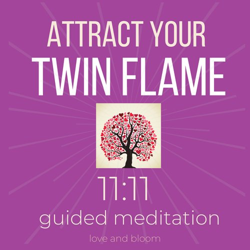 Attract your Twin Flame 11:11 Guided Meditation