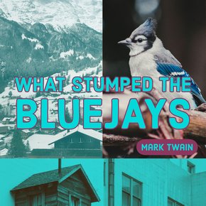 What Stumped the Blue Jays thumbnail