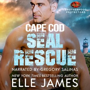 Cape Cod SEAL Rescue thumbnail