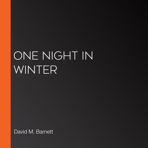 One Night In Winter