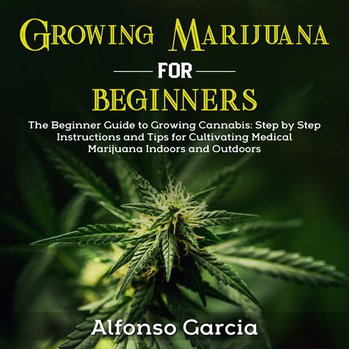 Growing Marijuana for Beginners