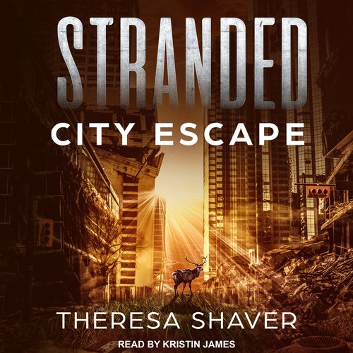 uLibraryDigital Audio Thumbnail