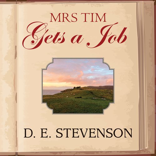 Mrs Tim Gets a Job