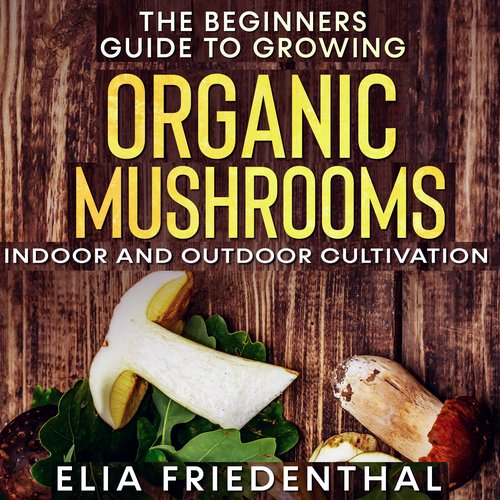 The Beginners  Guide to Growing Organic Mushrooms