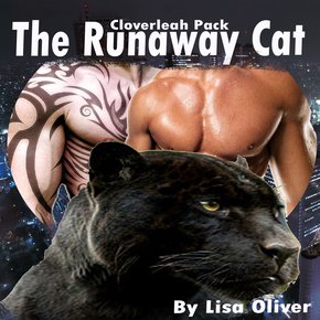 The Runaway Cat thumbnail