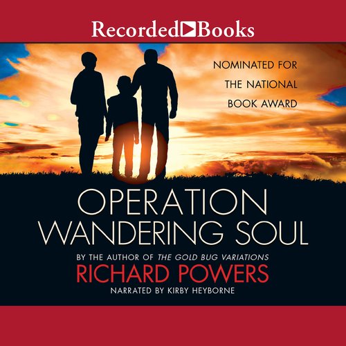 Operation Wandering Soul