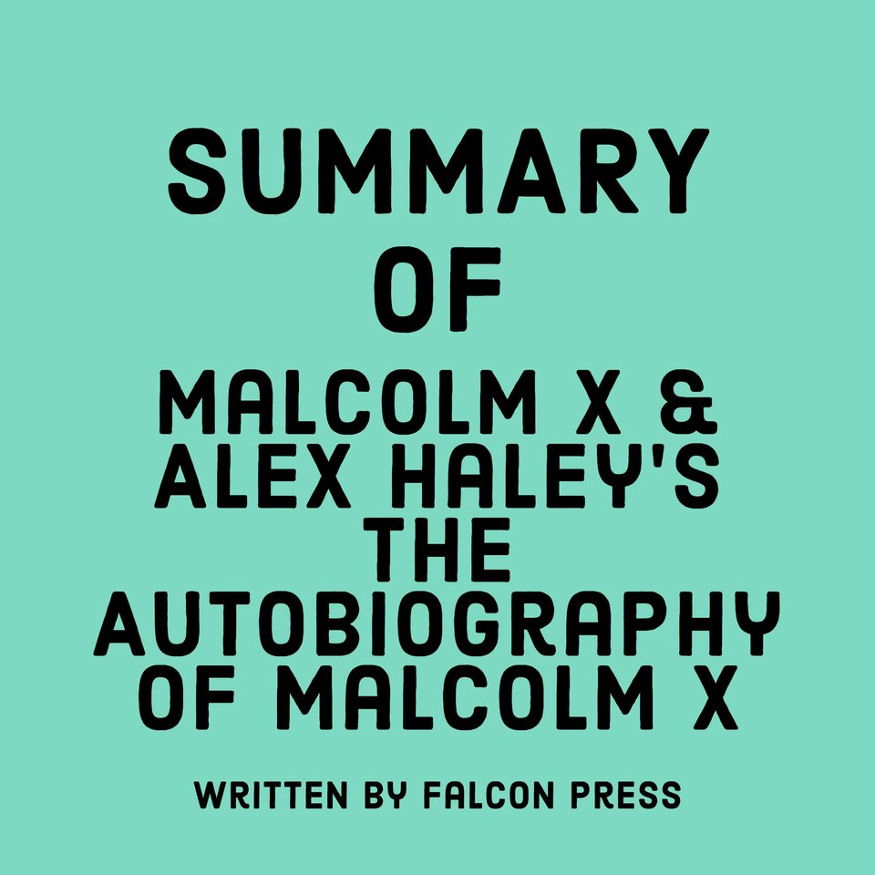 summary of malcolm x autobiography