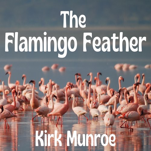 The Flamingo Feather