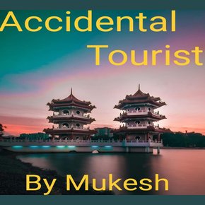 Accidental Tourist thumbnail