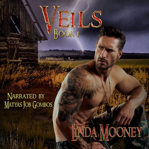 Veils Book 1