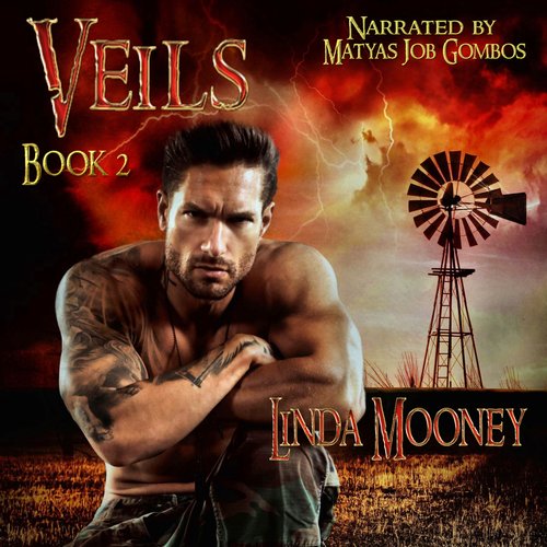 Veils Book 2