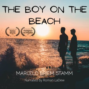 The boy on the beach thumbnail