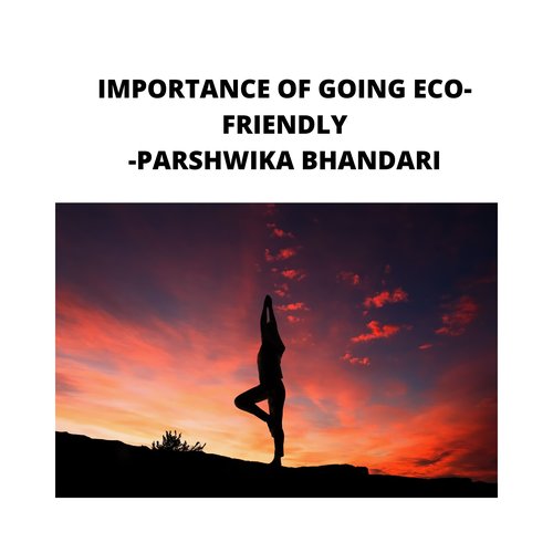 IMPORTANCE OF GOING ECO-FRIENDLY