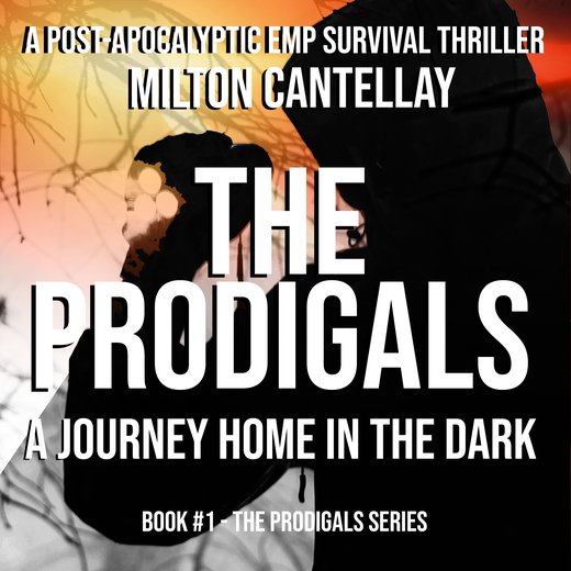 Prodigals, The - A Journey Home in the Dark
