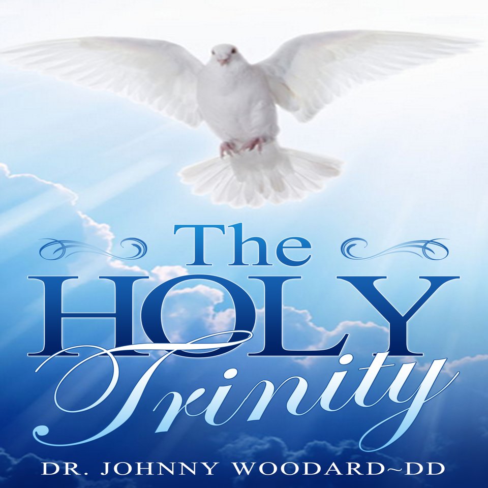 The HOLY TRINITY by Dr. Johnny Woodard ~ DD - Audiobook