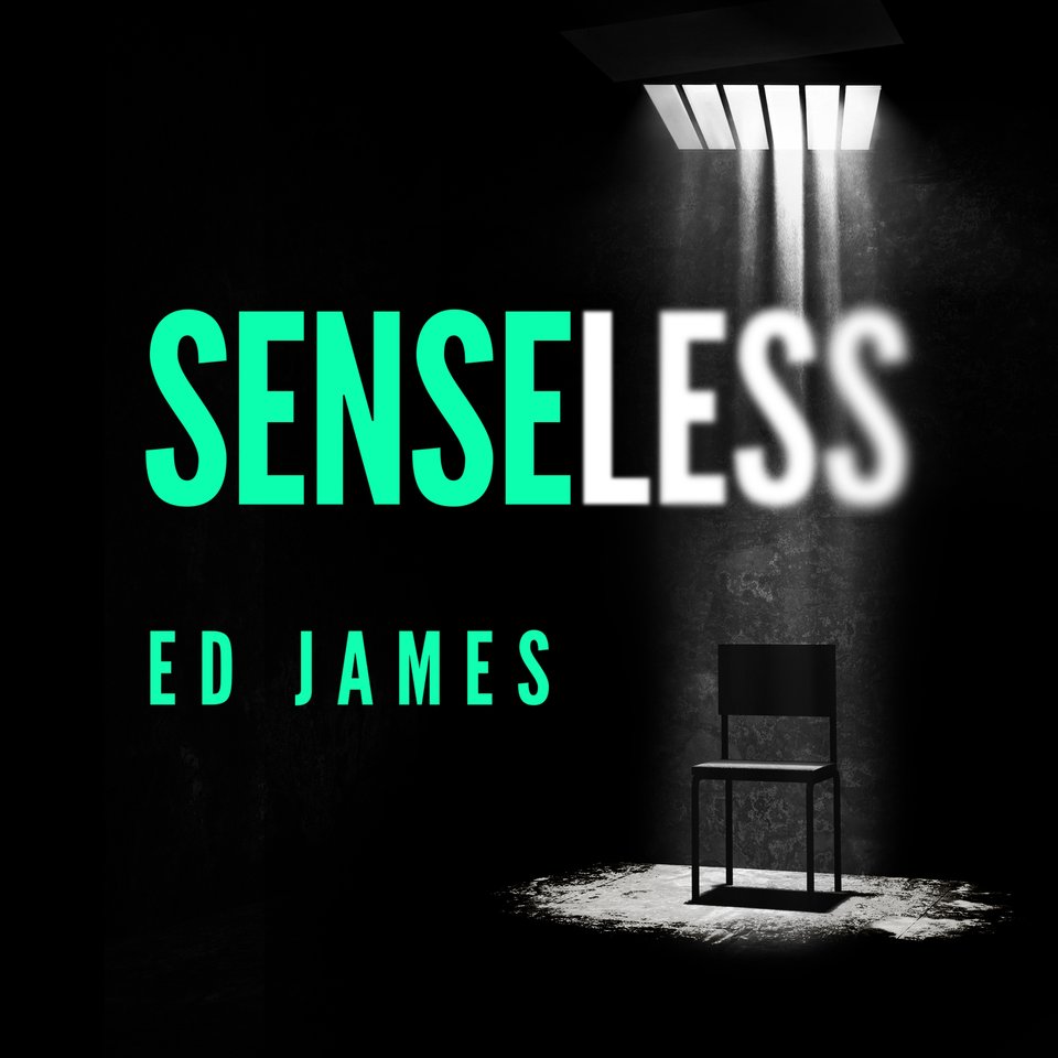Senseless Audiobook By Ed James Chirp