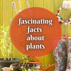 Fascinating Facts About Plants thumbnail