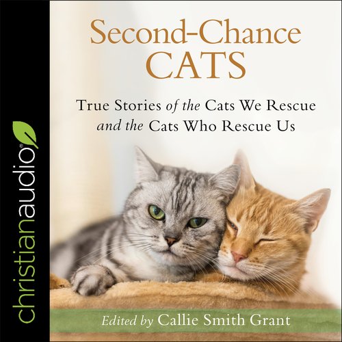 Second-Chance Cats