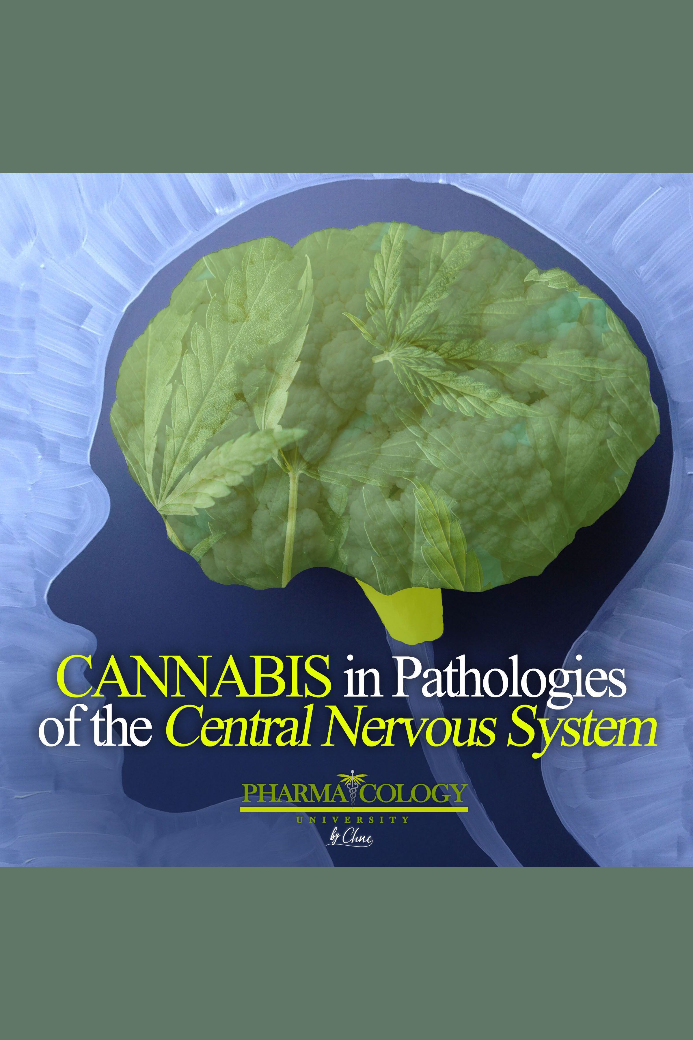 Cannabis In Pathologies Of The Central Nervous System By Pharmacology ...