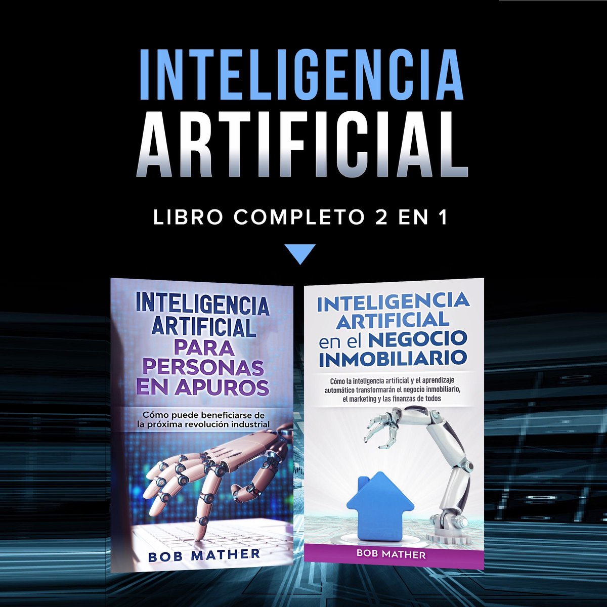 Inteligencia Artificial Libro Completo 2 En 1 Beek 8795