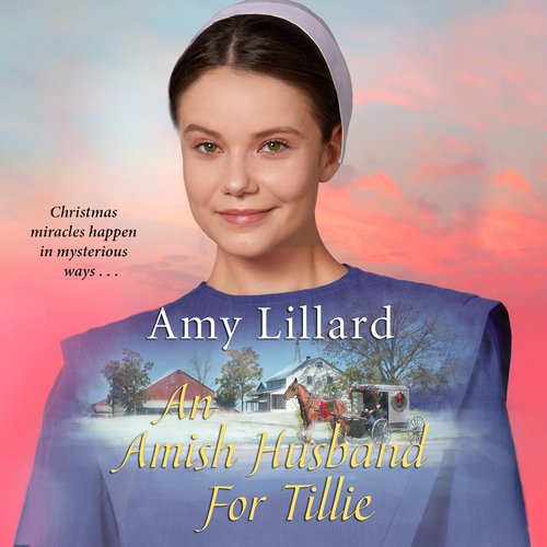 An Amish Husband for Tillie