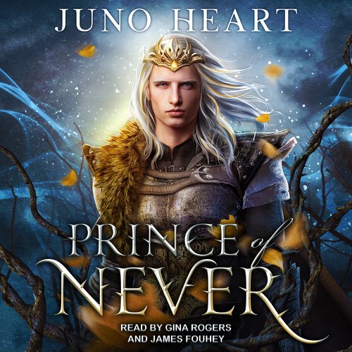 uLibraryDigital Audio Thumbnail