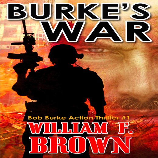 Burke's War